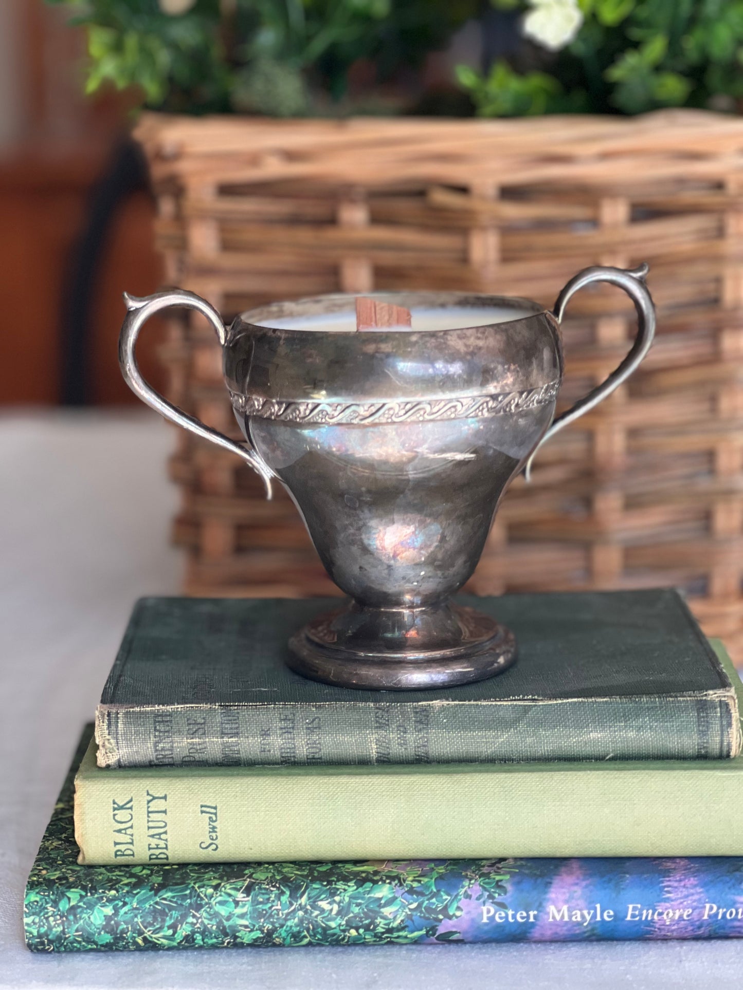 grand pedestal silver handled bowl
