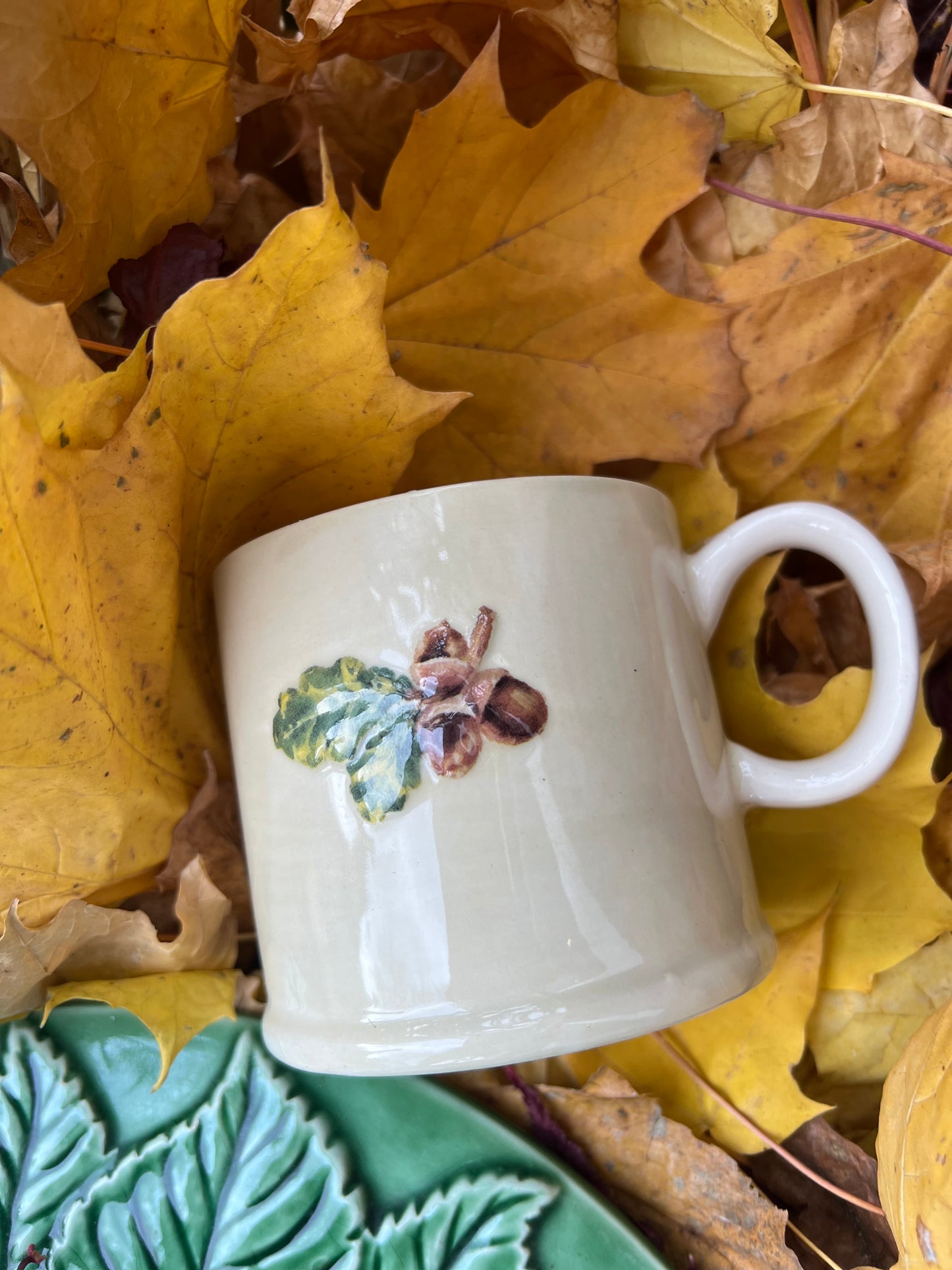 Little acorn mug candle